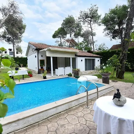 Vila Eless فيلة غوليم