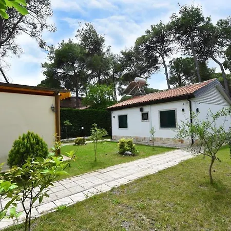 Vila Eless غوليم